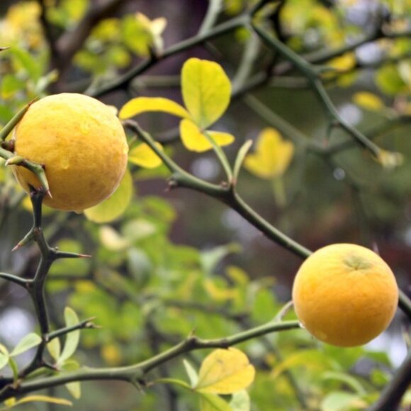 Please do not talk to me - Picture 1 of 1